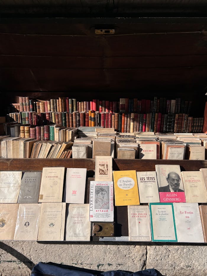 Explore a collection of vintage books displayed in a kiosk along the Seine River, Paris.